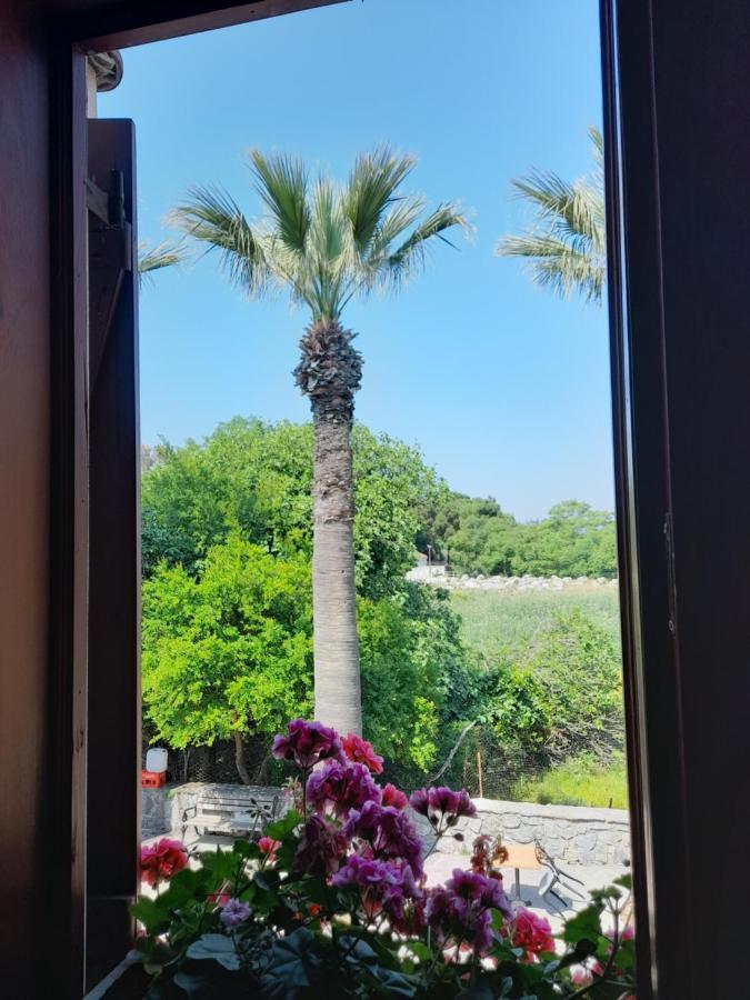 Casa Callinos Bed and Breakfast Selçuk Exterior foto
