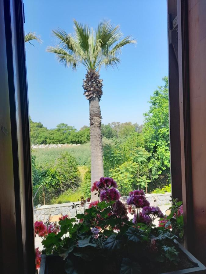 Casa Callinos Bed and Breakfast Selçuk Exterior foto